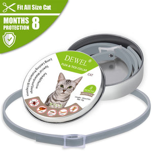 All Cat Dog Collar