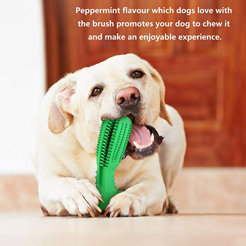 Dog toothbrush Pet mint Chew Toys