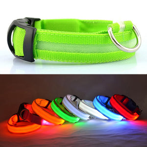 LED Safety Dog Collar USB Rechargeable Light Up