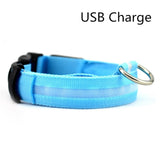 LED Safety Dog Collar USB Rechargeable Light Up