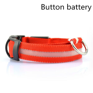 LED Safety Dog Collar USB Rechargeable Light Up