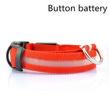 LED Safety Dog Collar USB Rechargeable Light Up