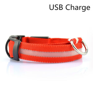 LED Safety Dog Collar USB Rechargeable Light Up