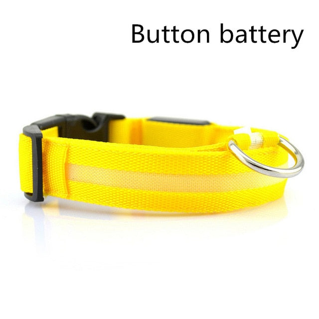 LED Safety Dog Collar USB Rechargeable Light Up