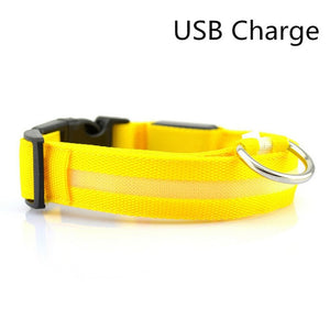 LED Safety Dog Collar USB Rechargeable Light Up