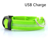 LED Safety Dog Collar USB Rechargeable Light Up