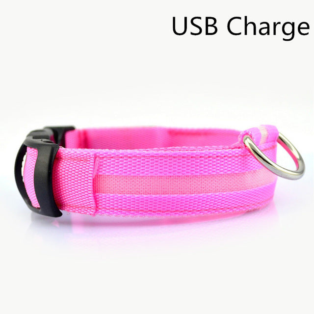 LED Safety Dog Collar USB Rechargeable Light Up